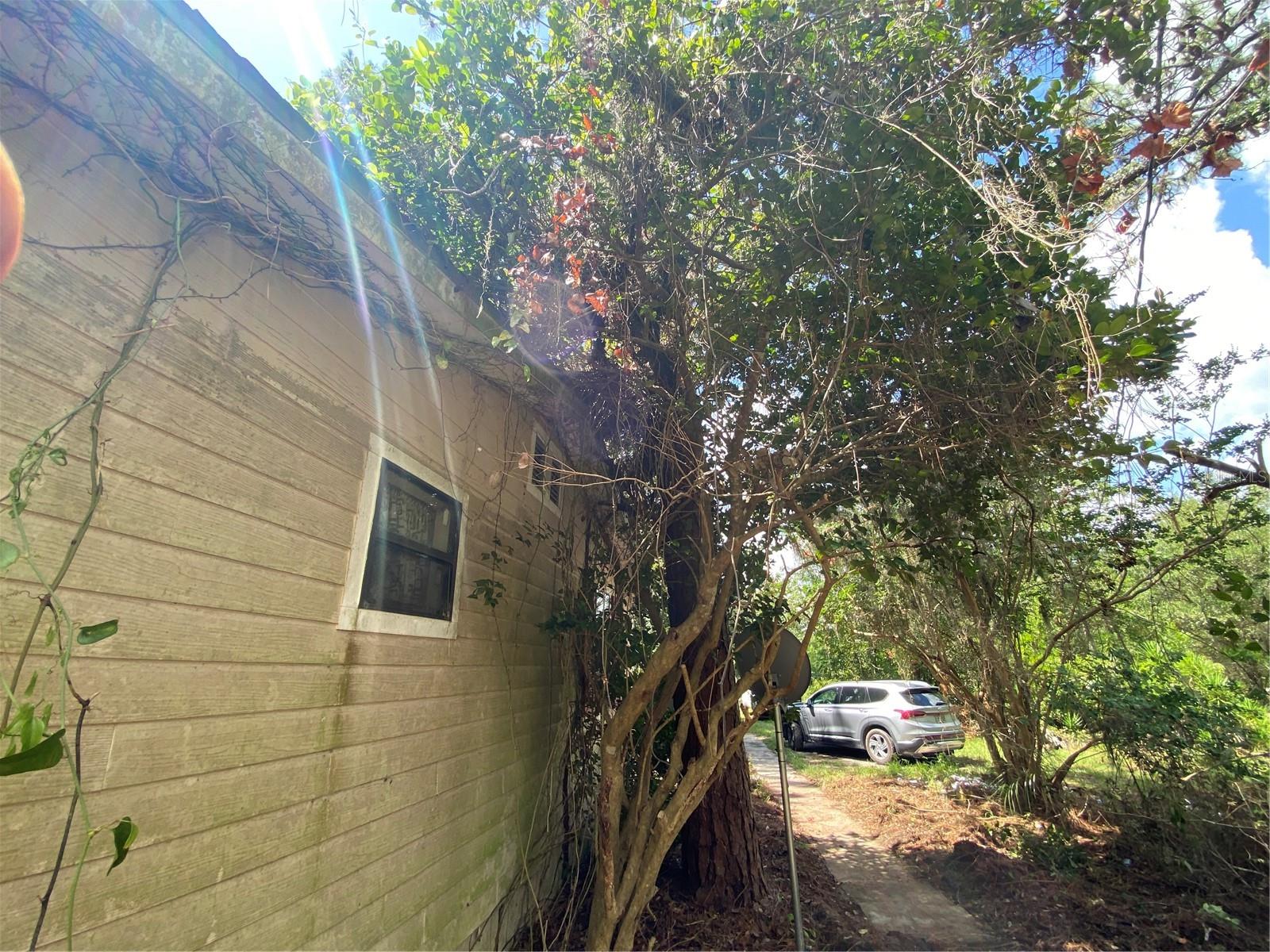 ROLLING GREEN ACRES - Residential