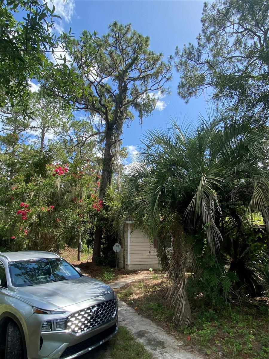 ROLLING GREEN ACRES - Residential