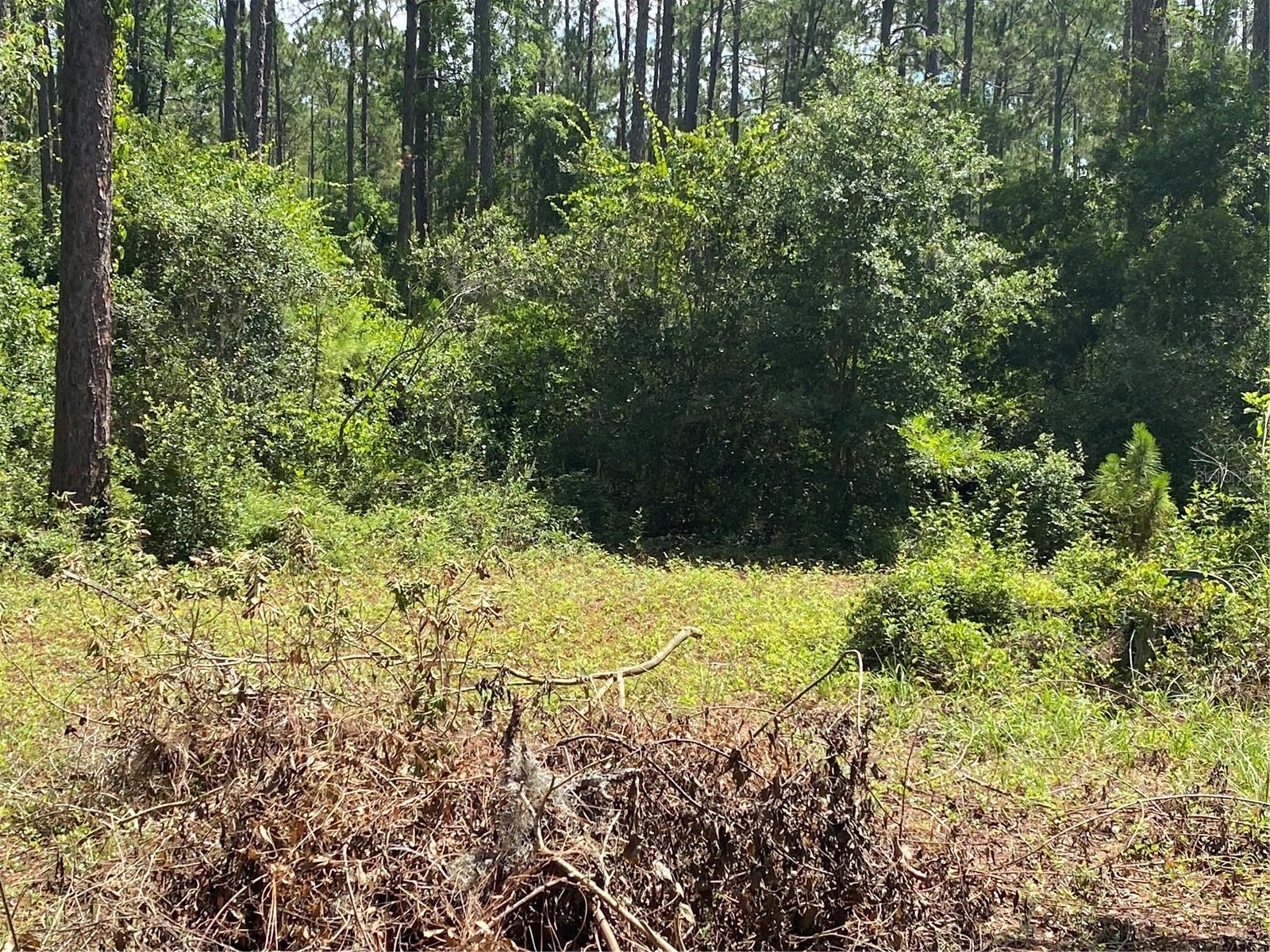 ROLLING GREEN ACRES - Residential