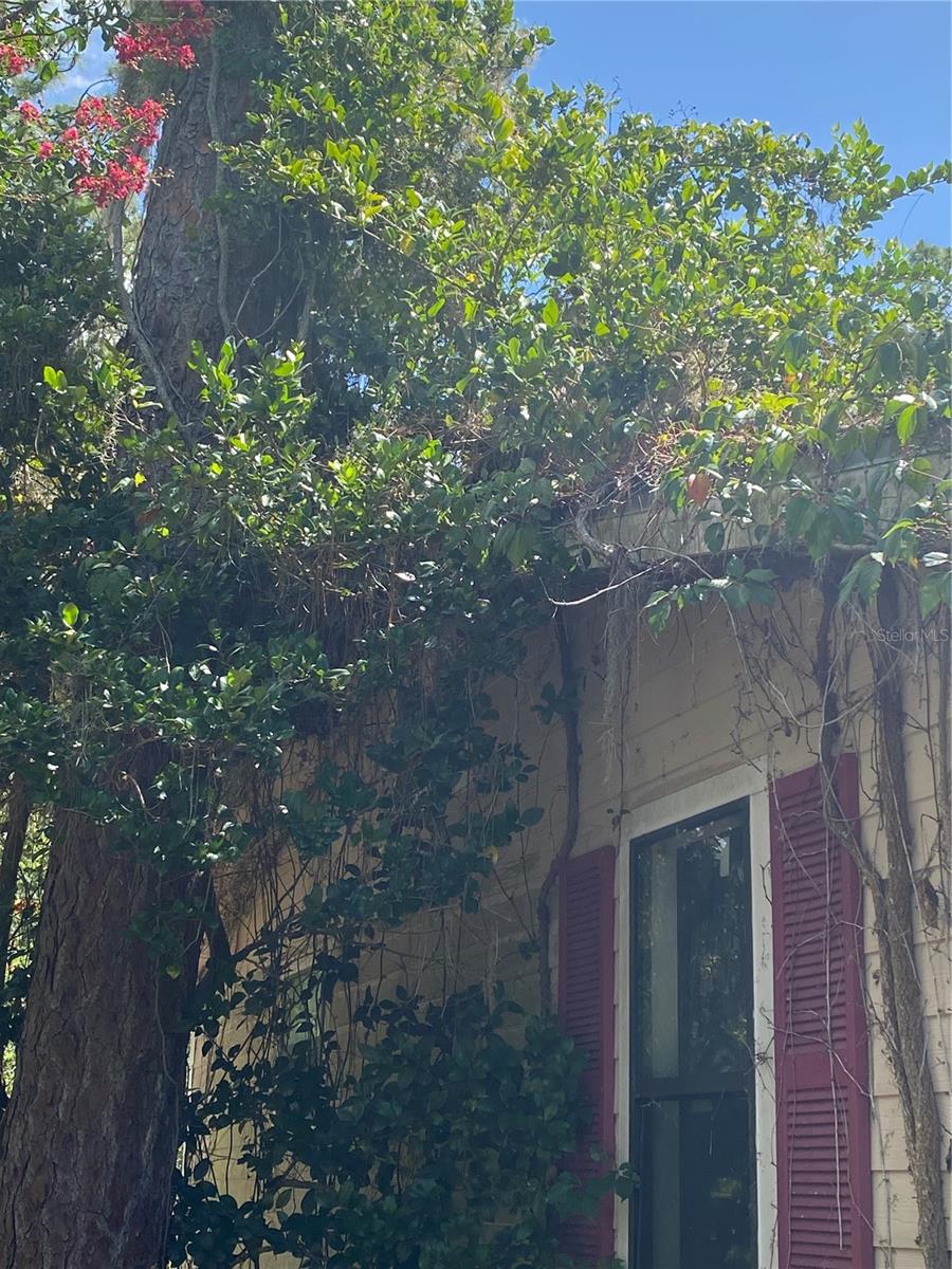 ROLLING GREEN ACRES - Residential