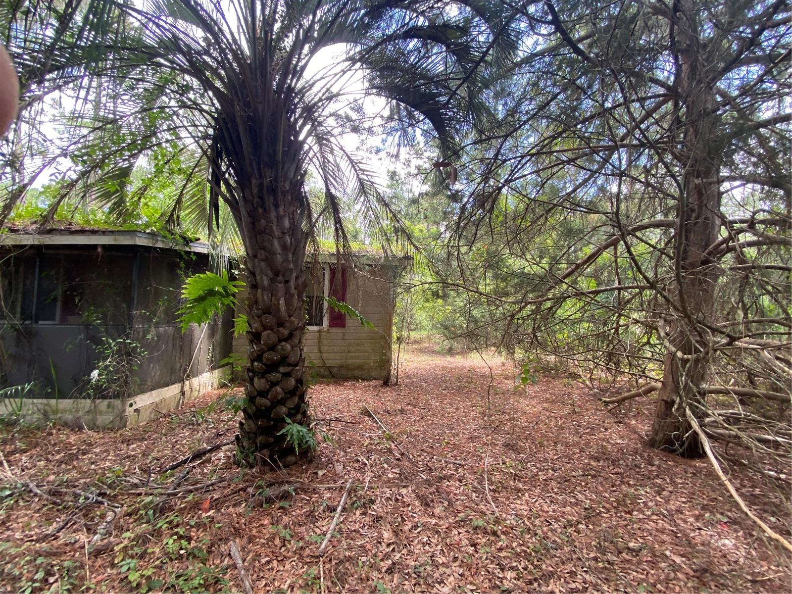 ROLLING GREEN ACRES - Residential