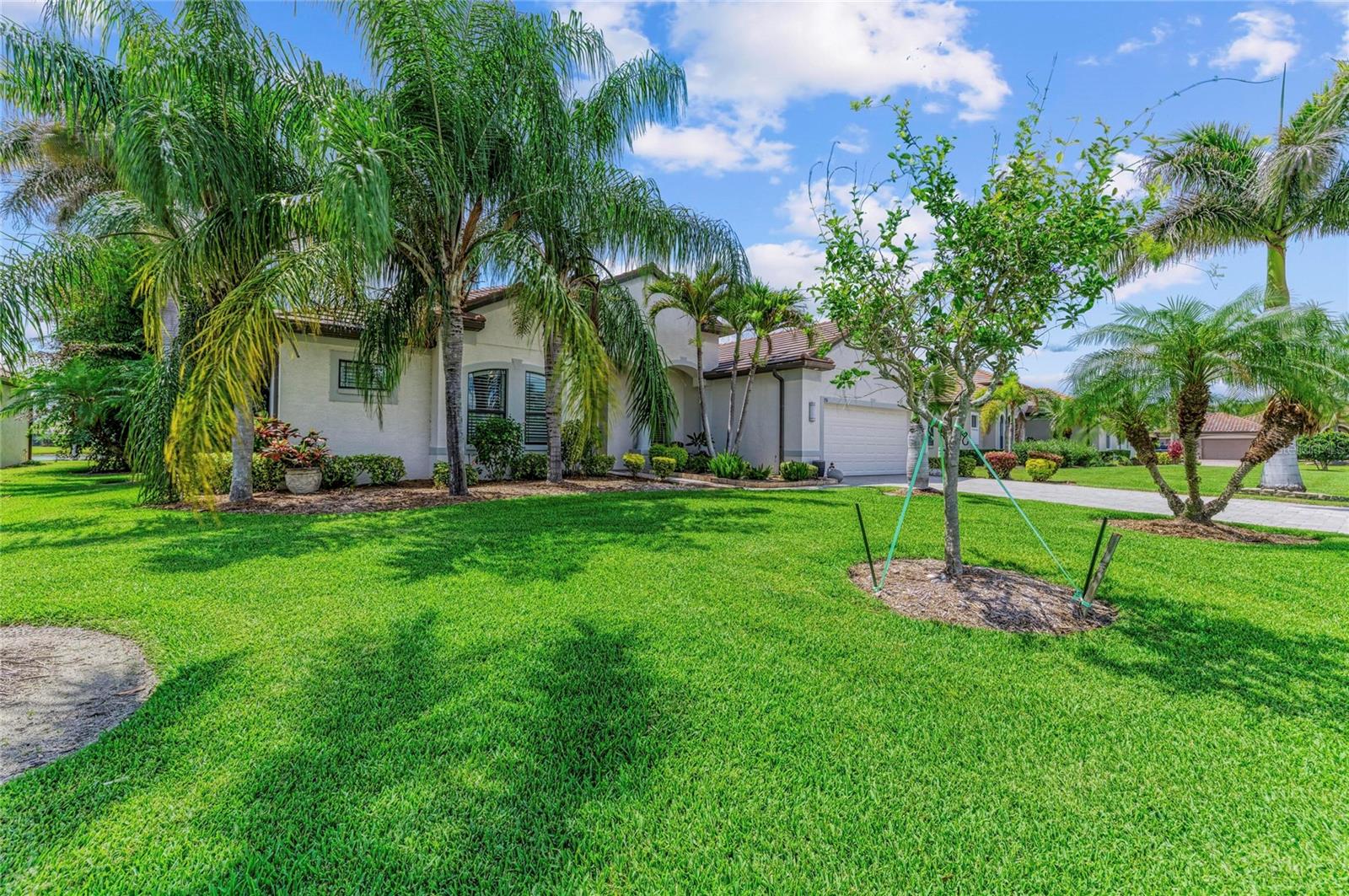 ENCLAVE AT COUNTRY MEADOWS - Residential