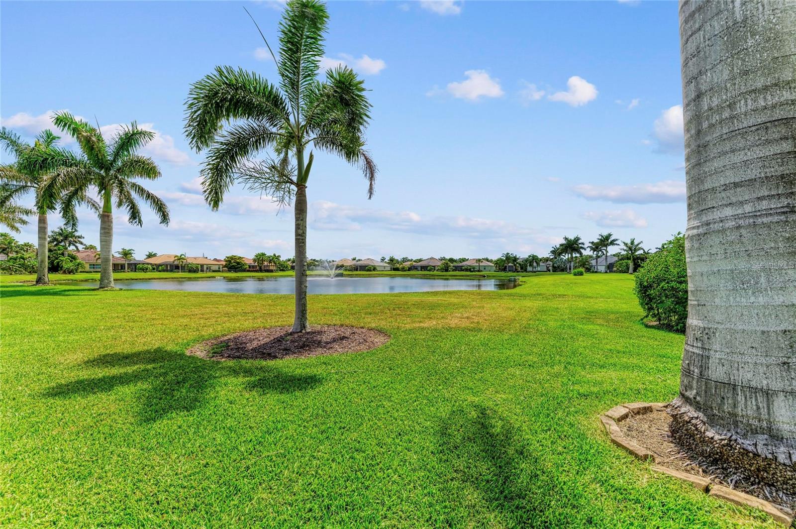 ENCLAVE AT COUNTRY MEADOWS - Residential