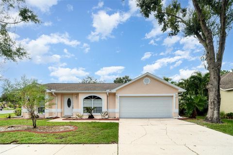 Photo of 11512 Wellman Drive, Riverview, FL 33578 (MLS # TB8424111)