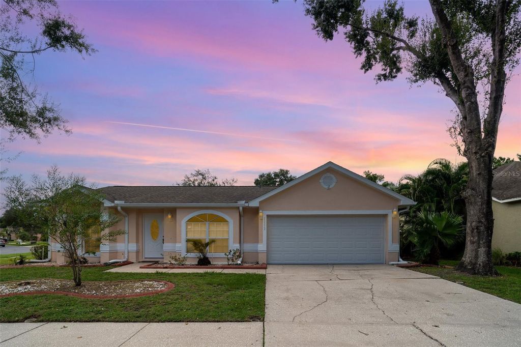 Photo of 11512 Wellman Drive, Riverview, FL 33578 (MLS # TB8424111)