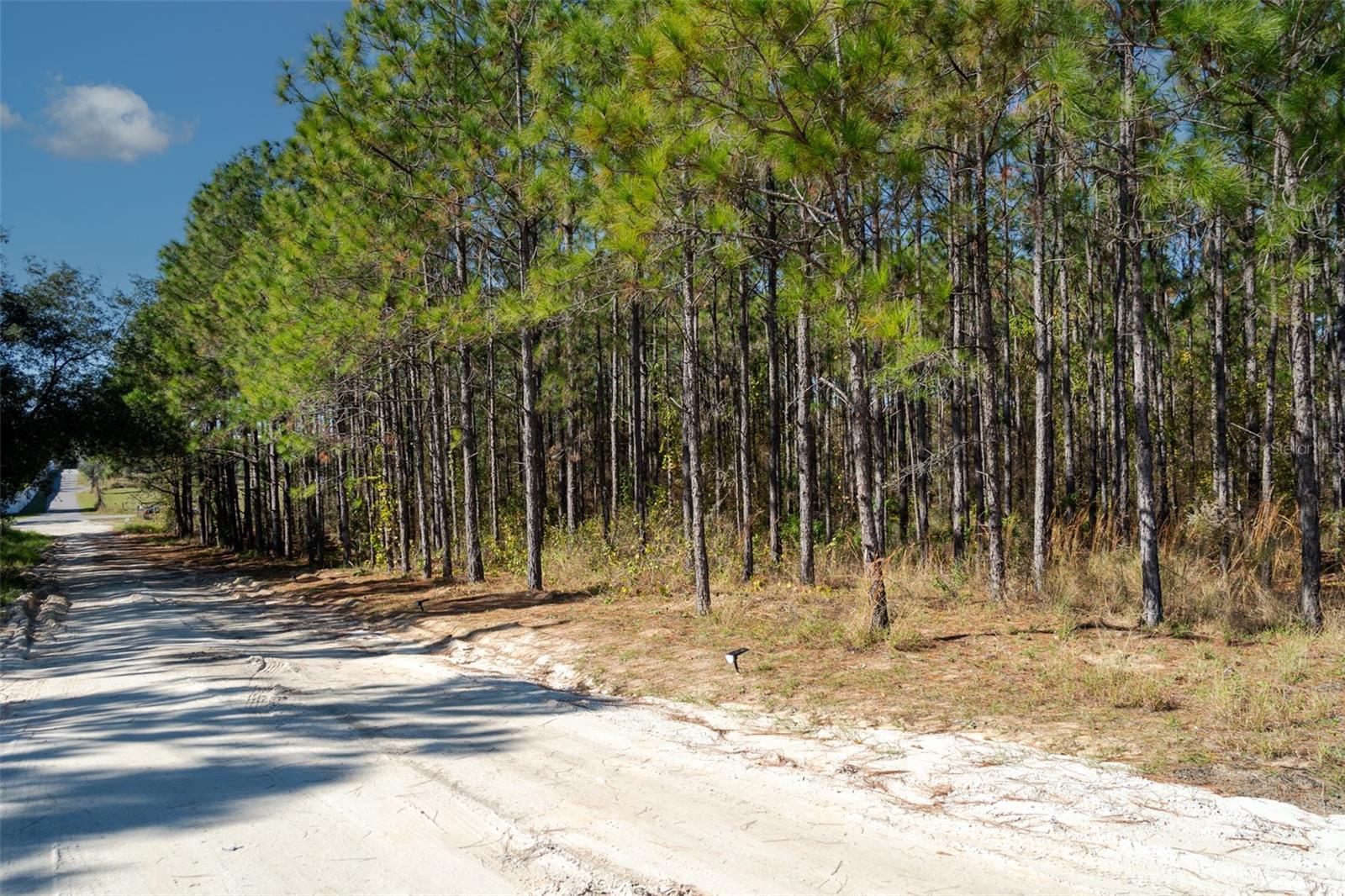 LOST LAKE ROAD