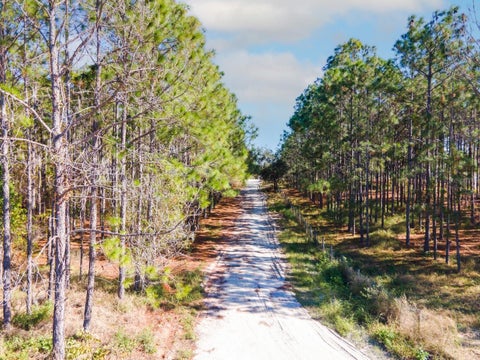 Tiny photo for Lost Lake Road, Clermont, FL 34711 (MLS # O6413163)