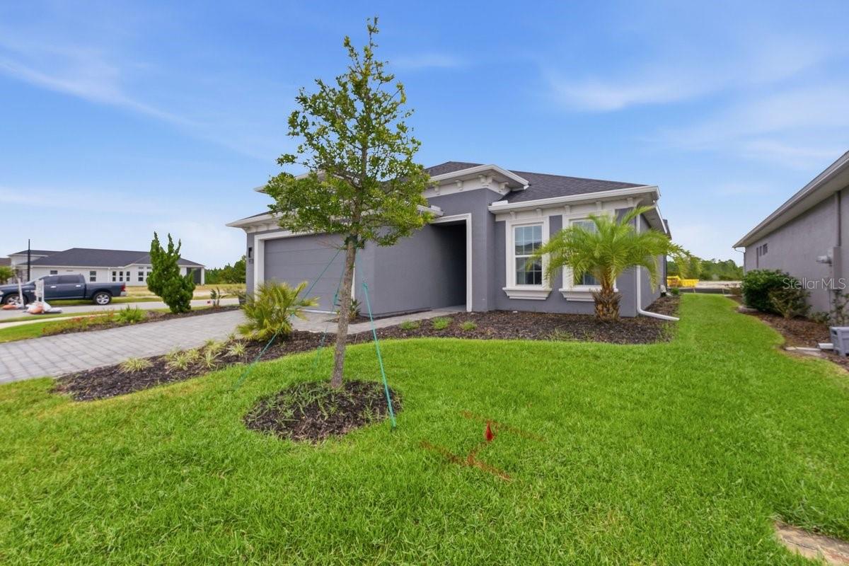 246 AZURE MIST WAY