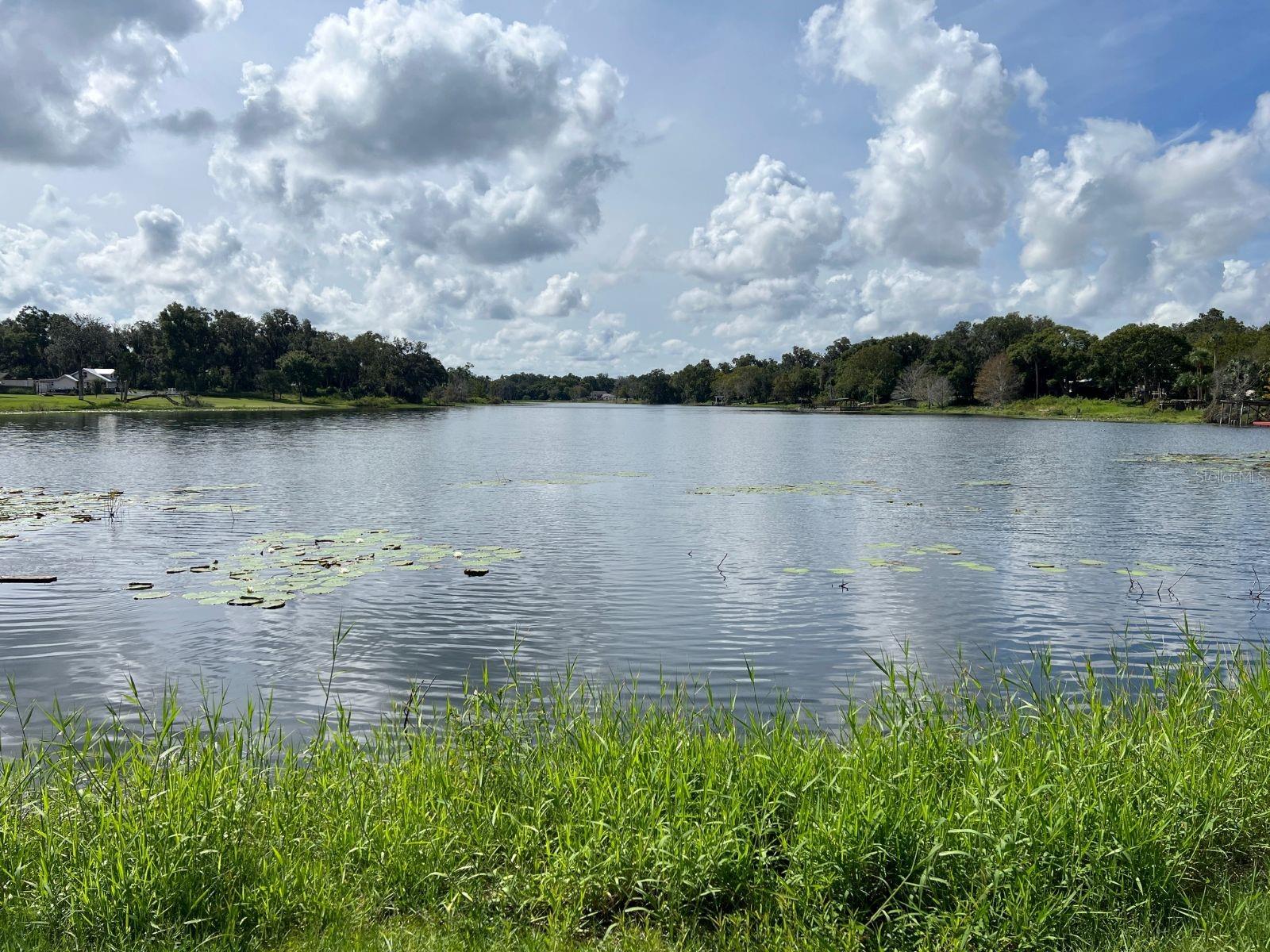 LAKE HELEN BLK 102 - Residential