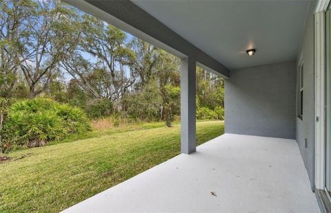 A home in ZEPHYRHILLS