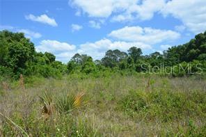 SILVER SPGS SHORES UN #34 - Land