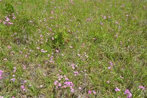 SILVER SPGS SHORES UN #34 - Land