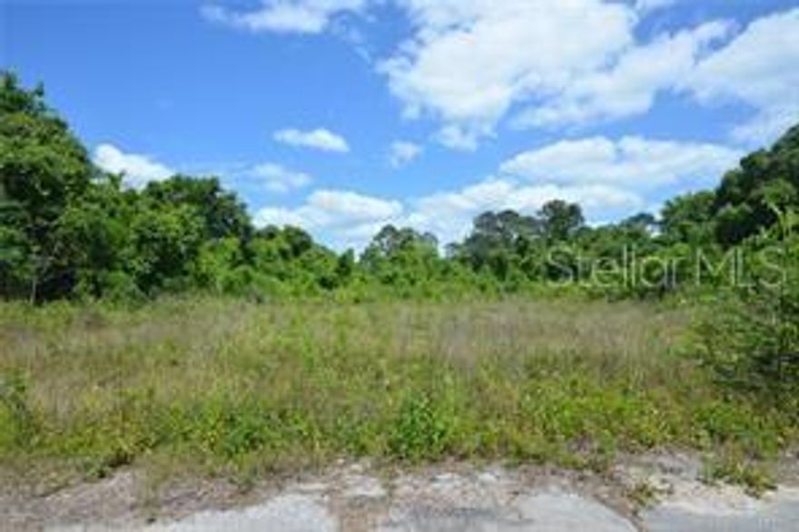 CLEARED .31 ACRES READY TO BUILD. CONVENIENTLY LOCATED TO NEAR BY EATON BEACH, THE VILLAGES AND OCALA CENTER OF TOWN.