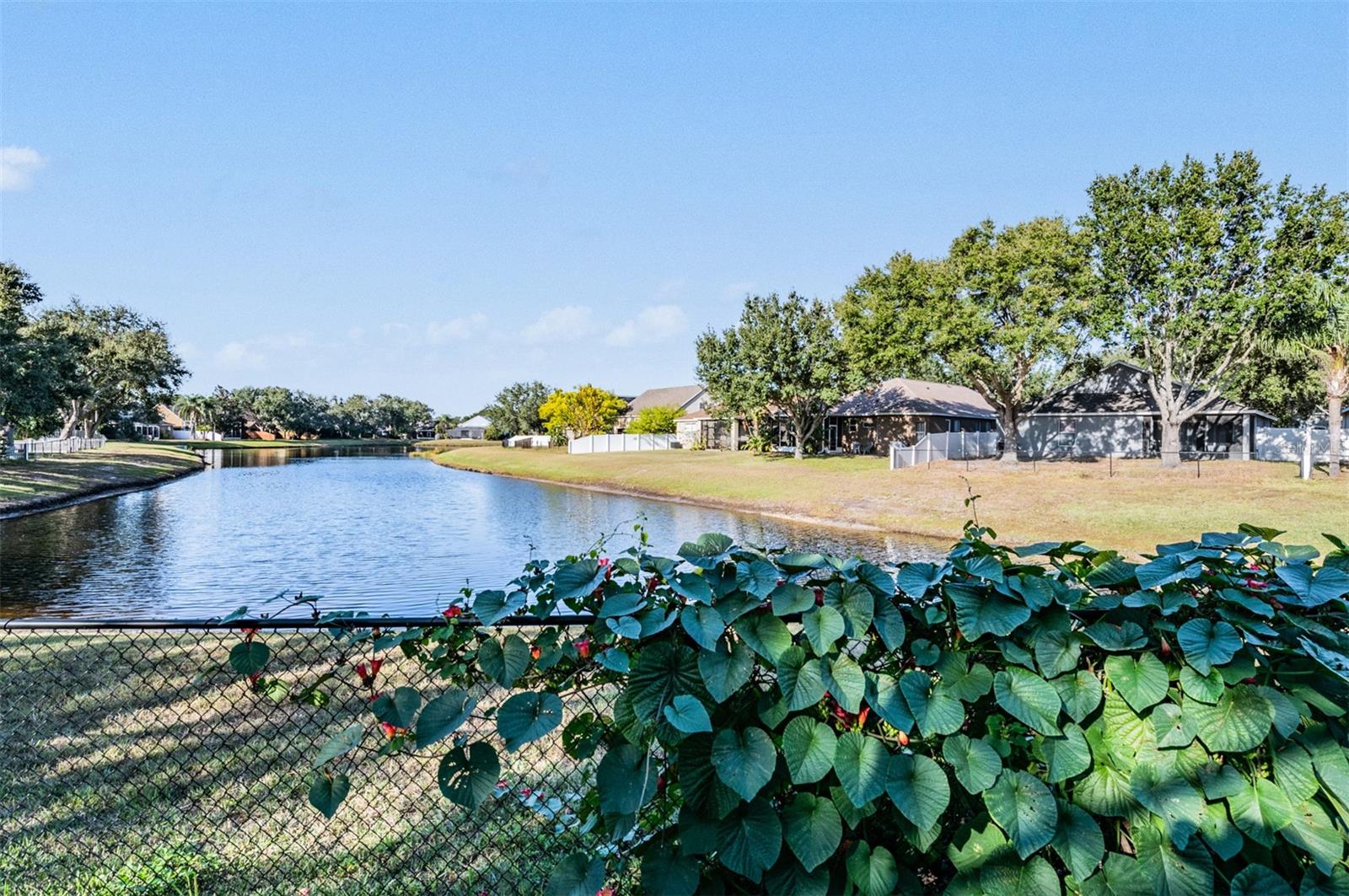 PANTHER TRACE PH 1A - Residential