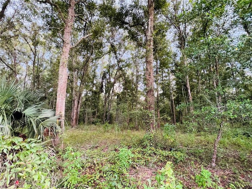 Almost 15 ACRES of beautifully treed with oaks and other native hardwoods property just north of Bell! Located in Bell Oaks Subdivision! Manufactured homes allowed (double wide or larger), therefore, come and place or build your dream home here! Lots of privacy but not far off a paved road! High and dry! Located just 35 minutes to the center of Lake City, less than 25 minutes to High Springs, and only 15 minutes to Branford! Come and enjoy being less than 2 miles from the Suwannee River and several natural springs! Gilchrist County offers low property taxes and "A" rated schools. Only 3 lots available, so don't miss out on your opportunity! Call today for more details!