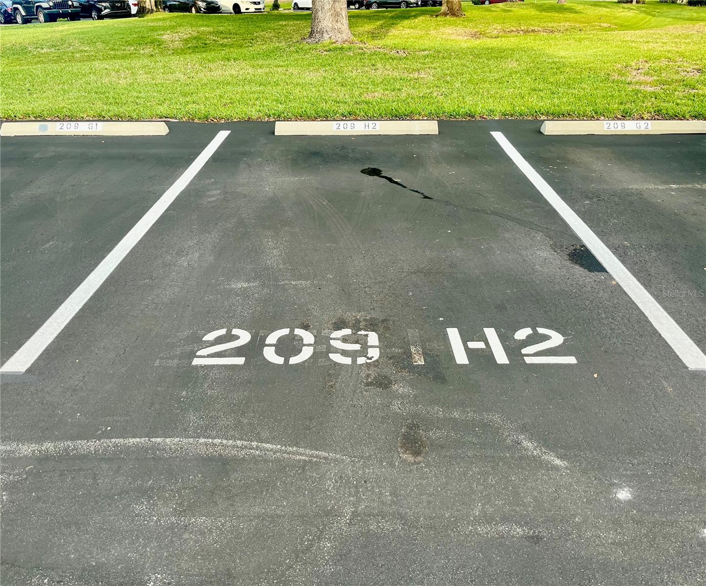 PINE RIDGE AT LAKE TARPON VILLAGE - Residential