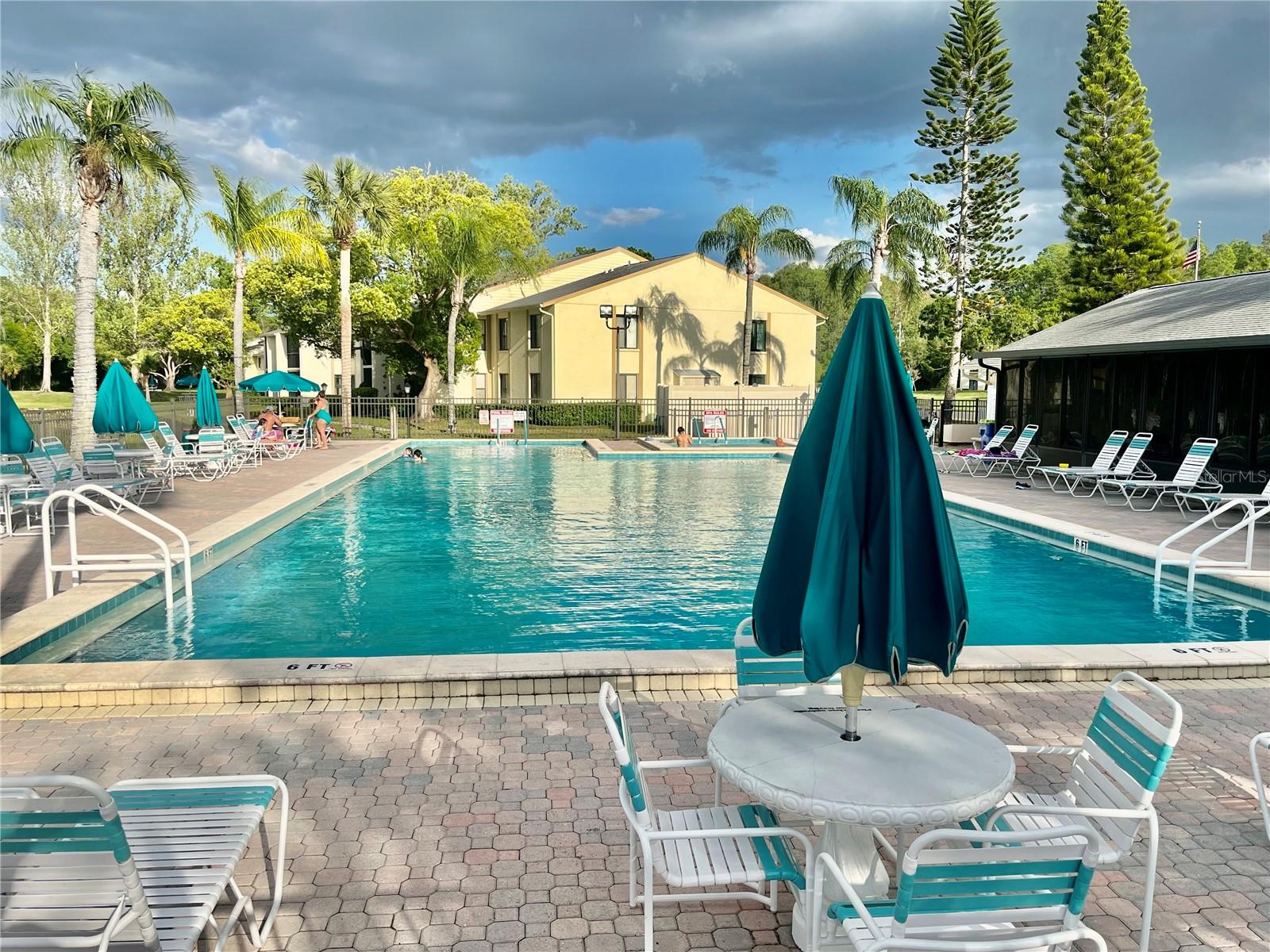 PINE RIDGE AT LAKE TARPON VILLAGE - Residential