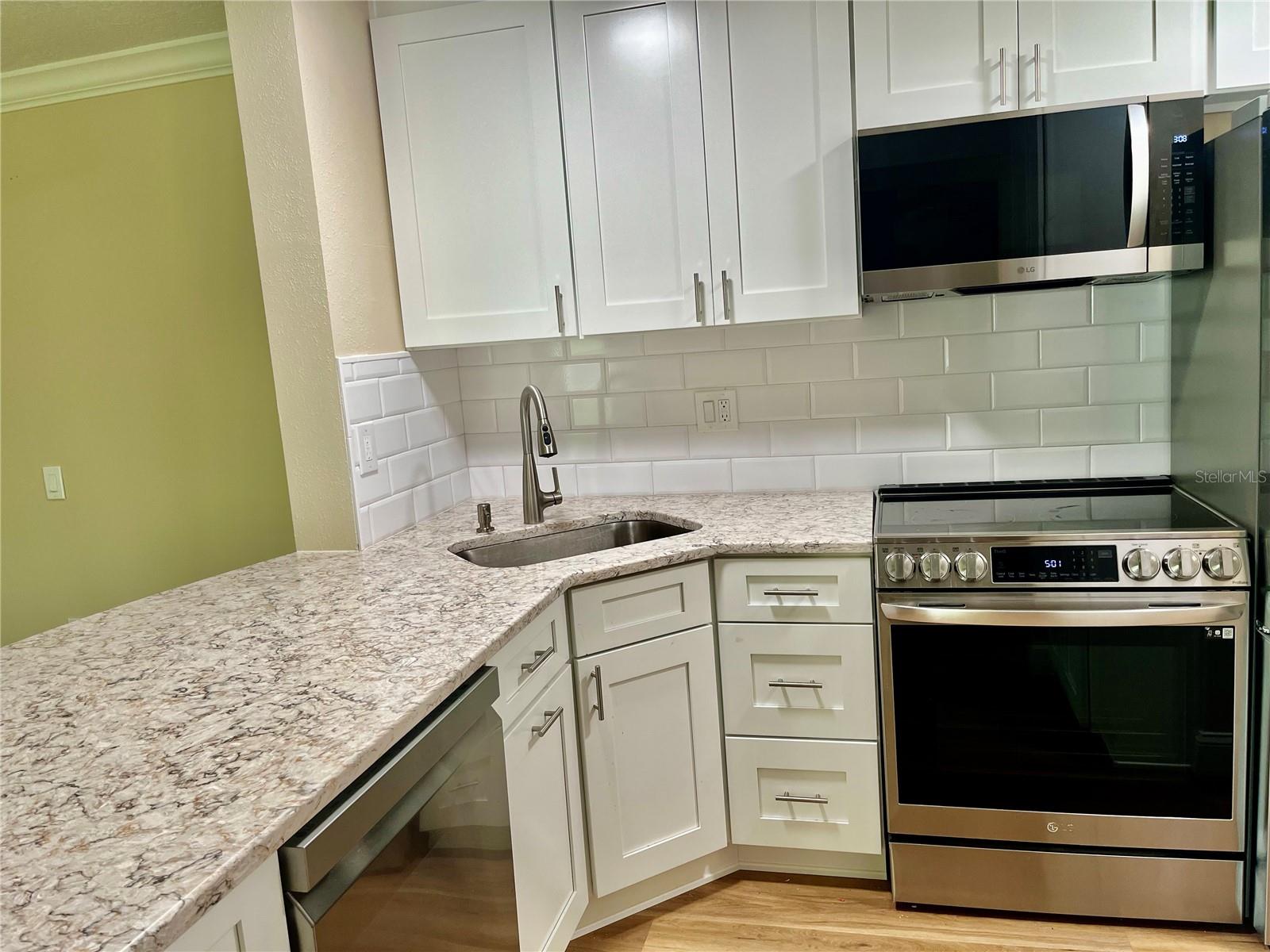 PINE RIDGE AT LAKE TARPON VILLAGE - Residential