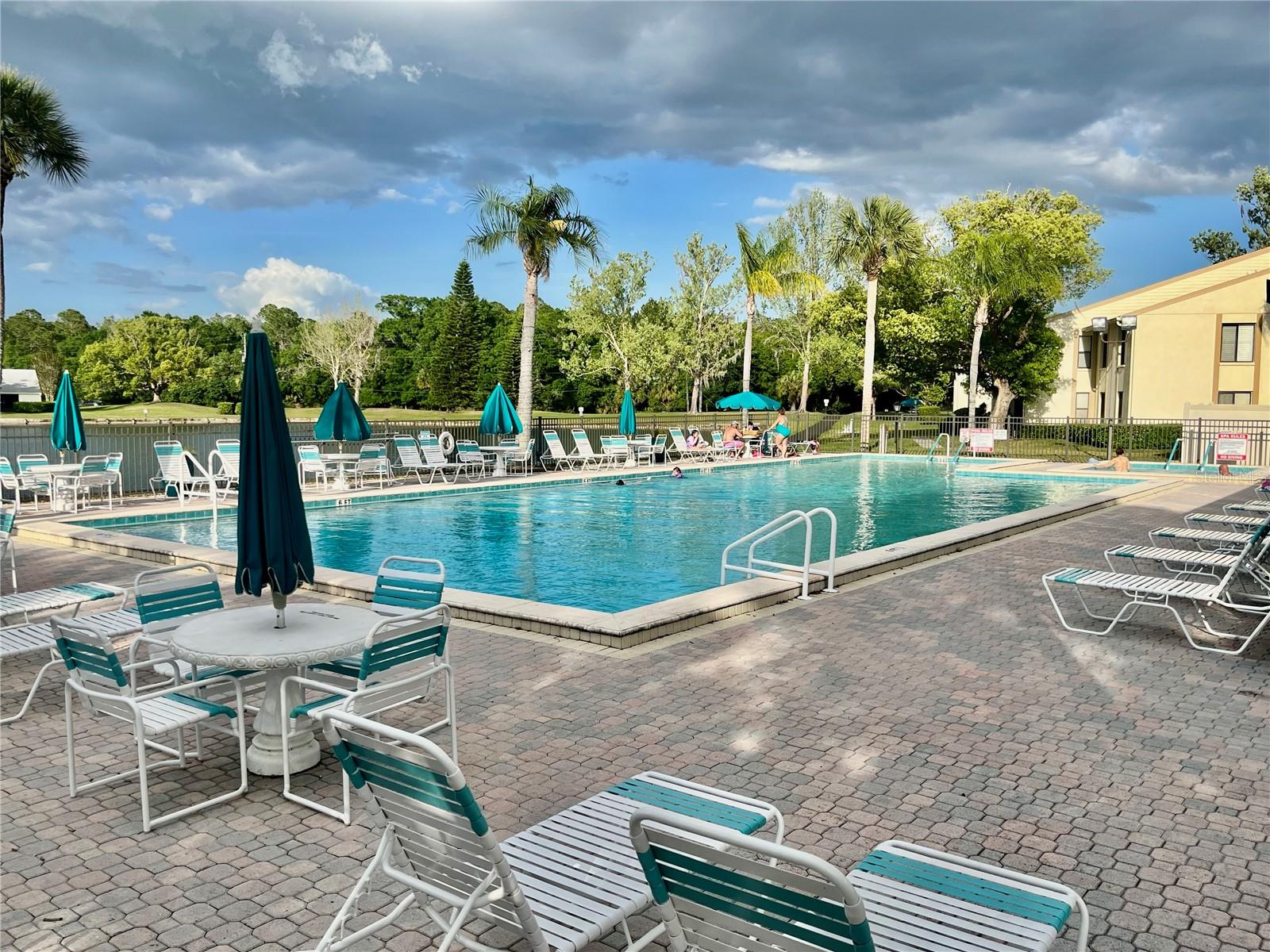 PINE RIDGE AT LAKE TARPON VILLAGE - Residential