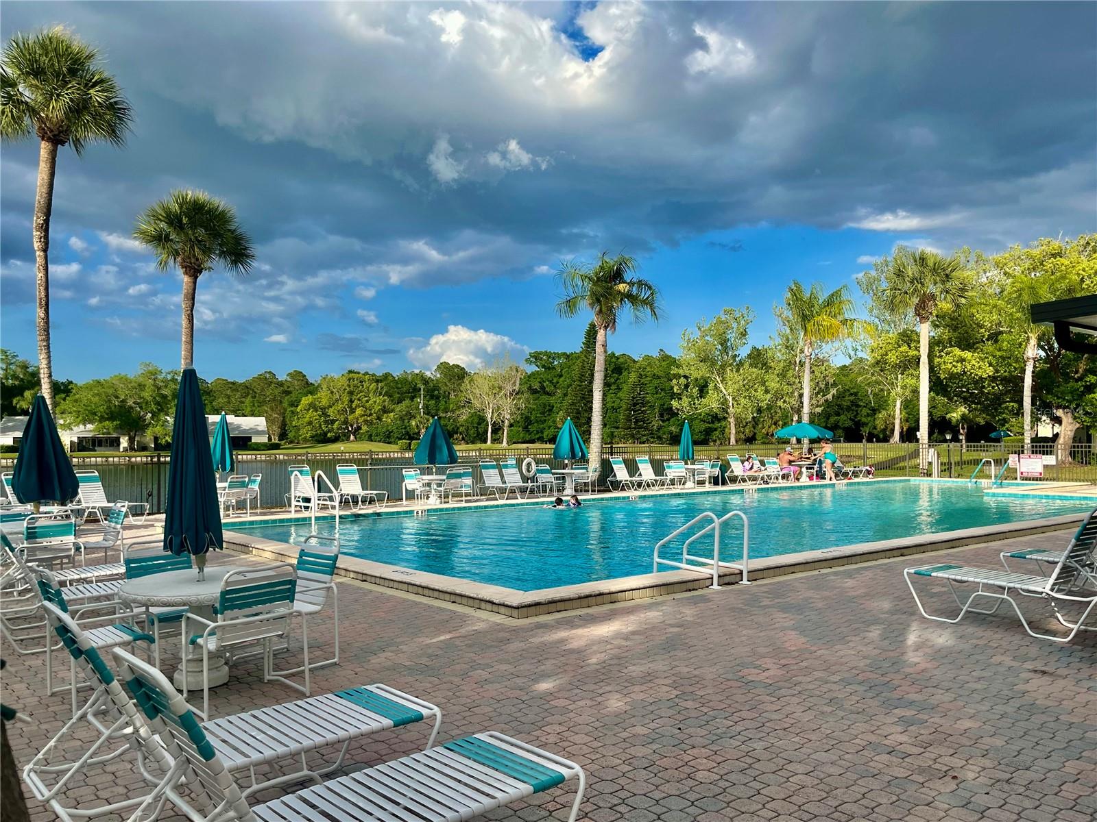 PINE RIDGE AT LAKE TARPON VILLAGE - Residential