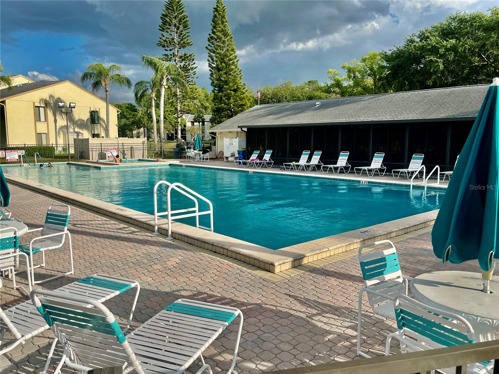 PINE RIDGE AT LAKE TARPON VILLAGE - Residential