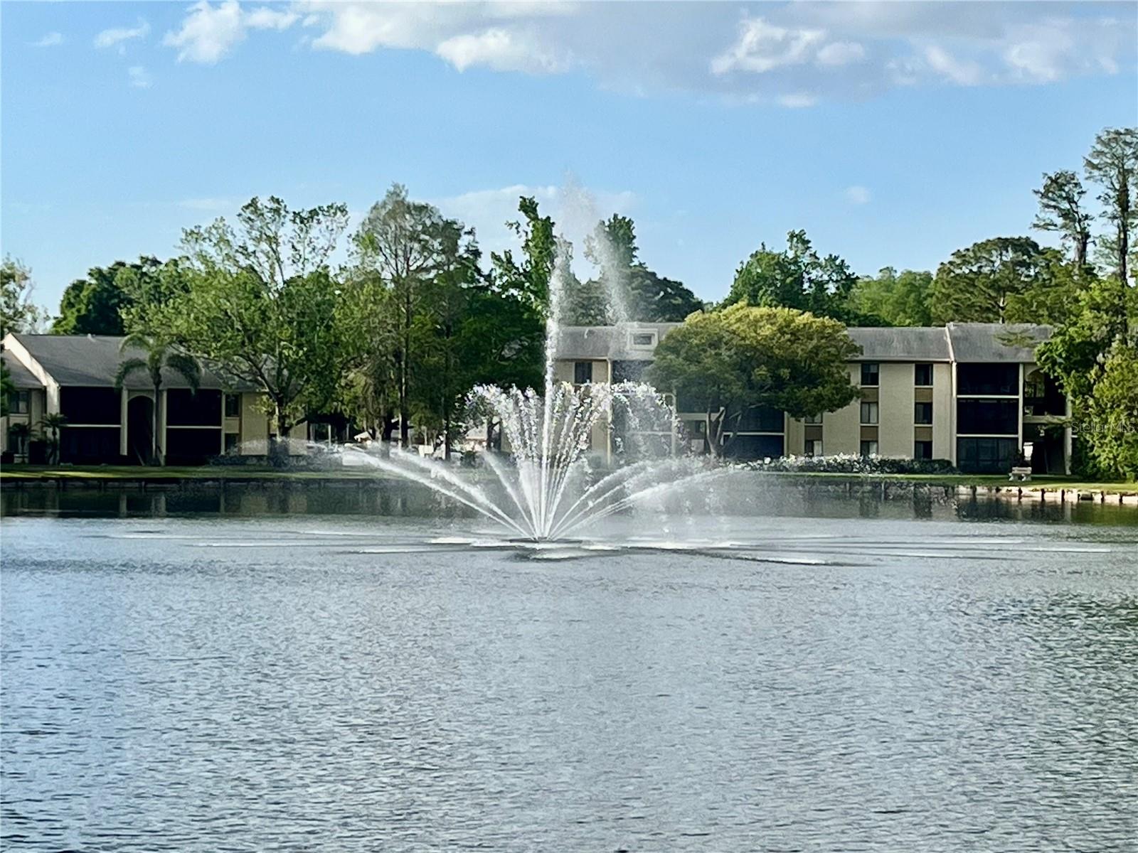 PINE RIDGE AT LAKE TARPON VILLAGE - Residential