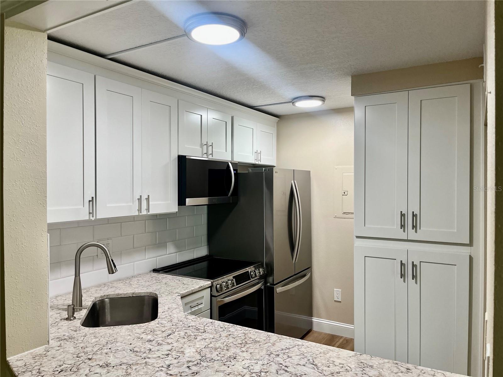 PINE RIDGE AT LAKE TARPON VILLAGE - Residential