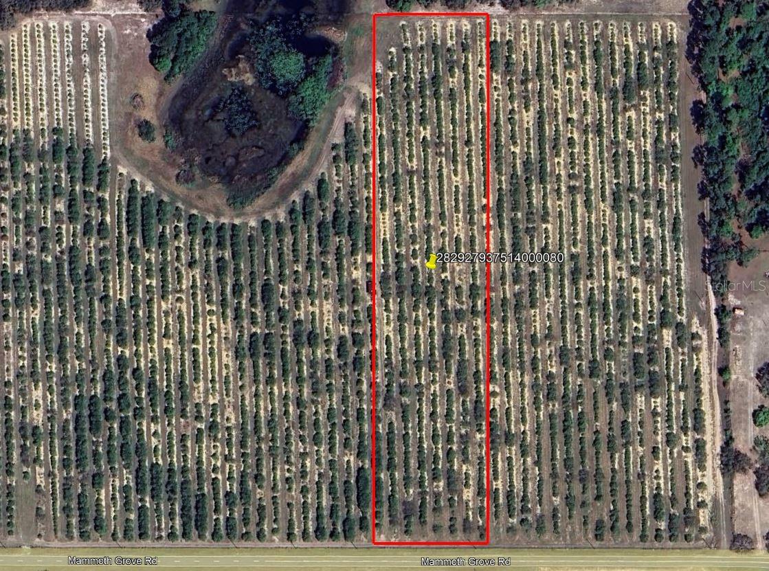 Secluded 5.7-acre homesite near Lake Wales, FL, featuring wooded areas
and ponds. Offers privacy while still being close to restaurants, shopping,
and schools. Wildlife on the property includes deer, turkey, and hogs.