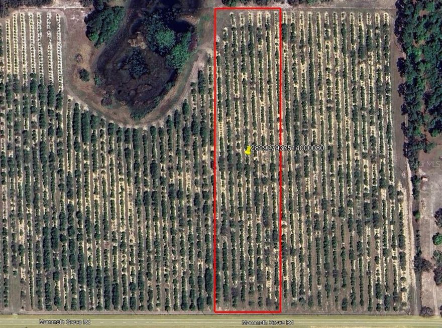Secluded 5.7-acre homesite near Lake Wales, FL, featuring wooded areas
and ponds. Offers privacy while still being close to restaurants, shopping,
and schools. Wildlife on the property includes deer, turkey, and hogs.