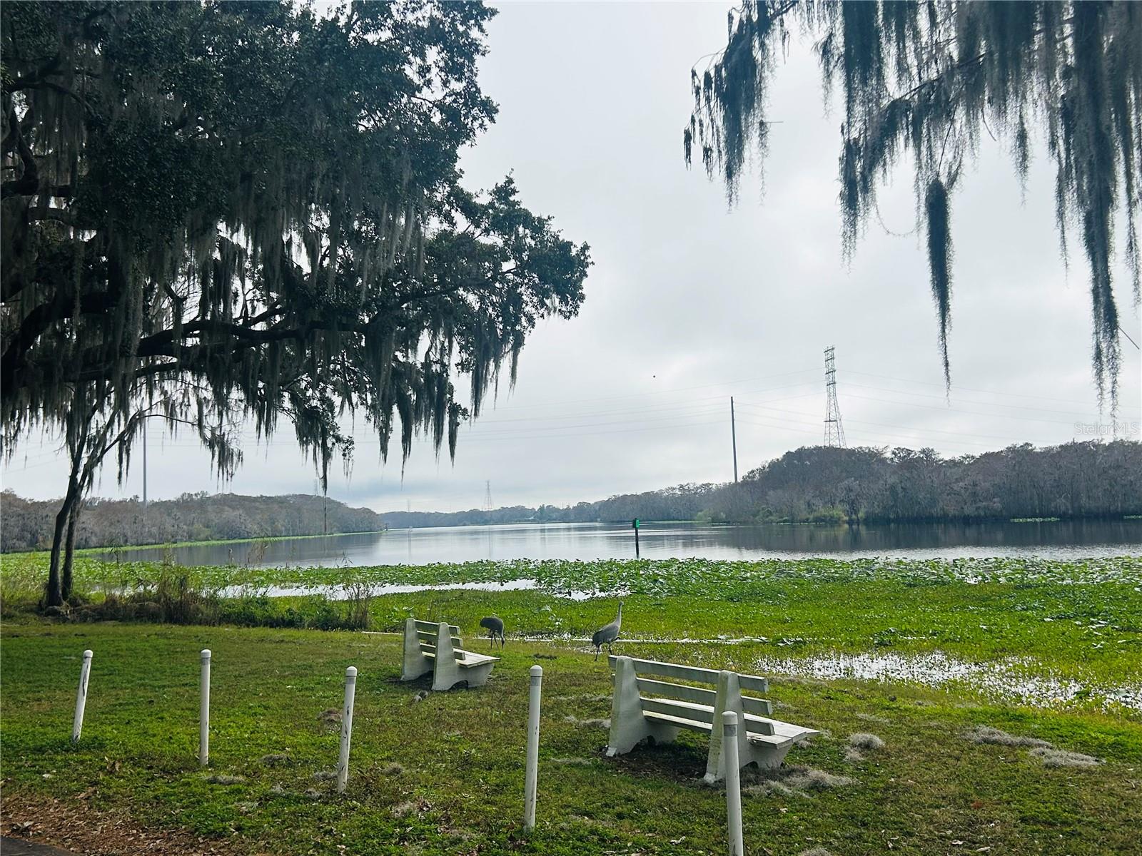 LEISURE WORLD PARK - Residential