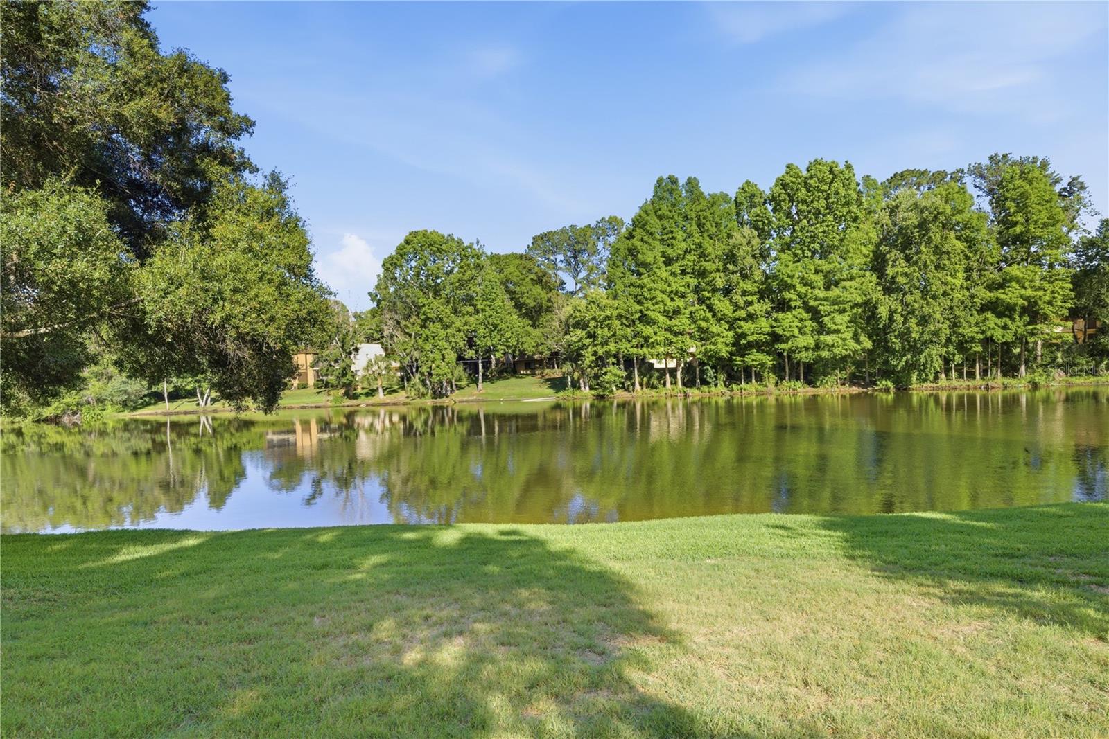 RAINTREE VILLAGE CONDO N - Residential