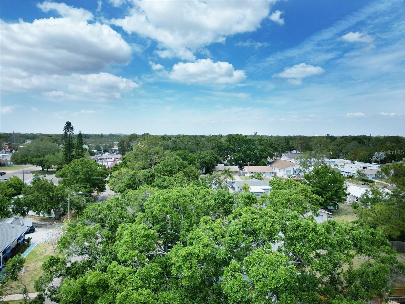 NORTH ST PETERSBURG - Residential