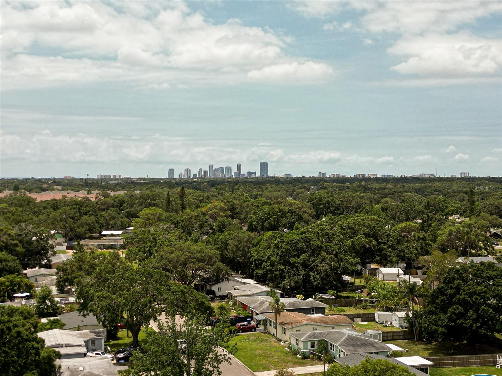NORTH ST PETERSBURG - Residential
