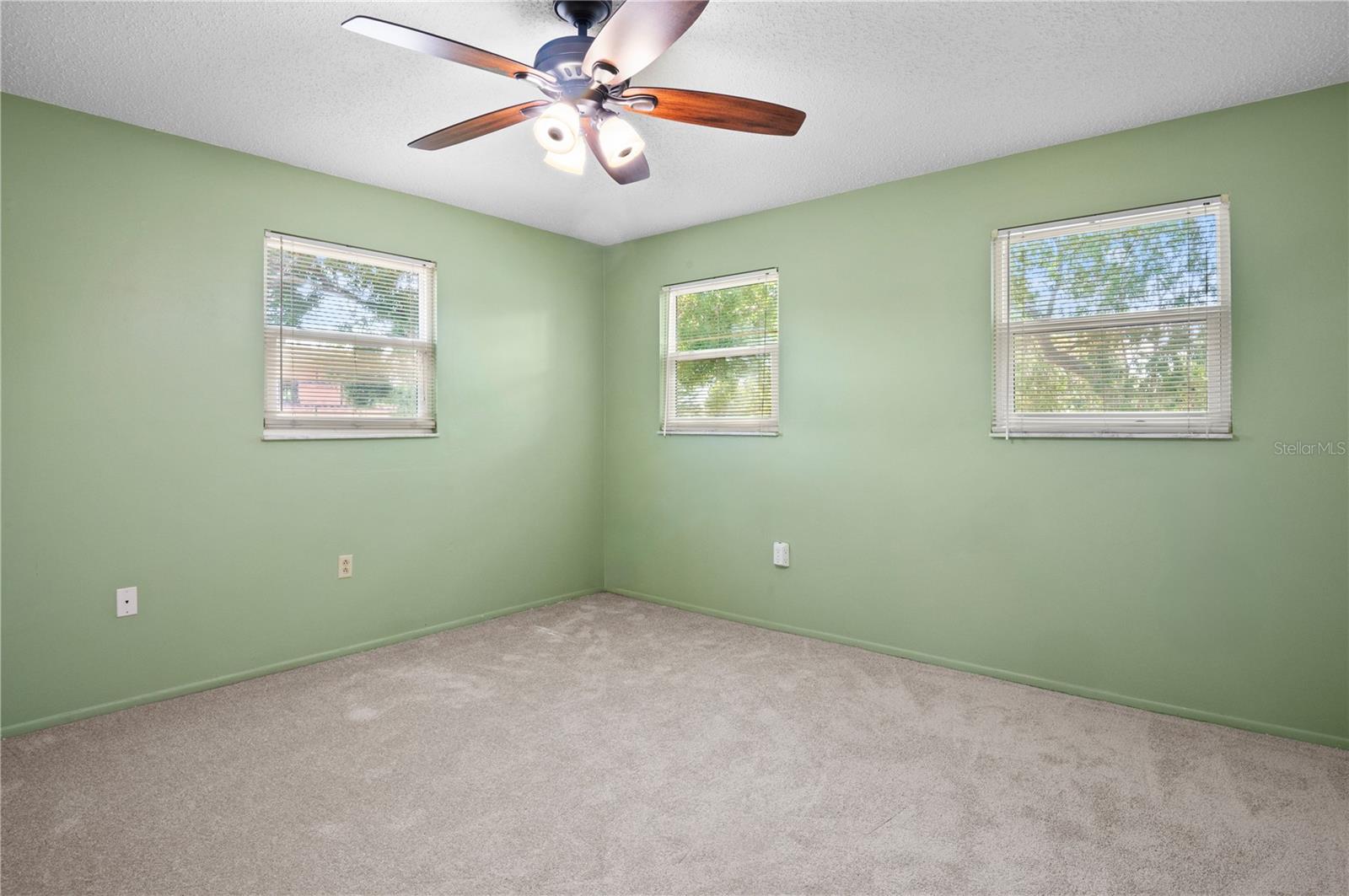 NORTH ST PETERSBURG - Residential