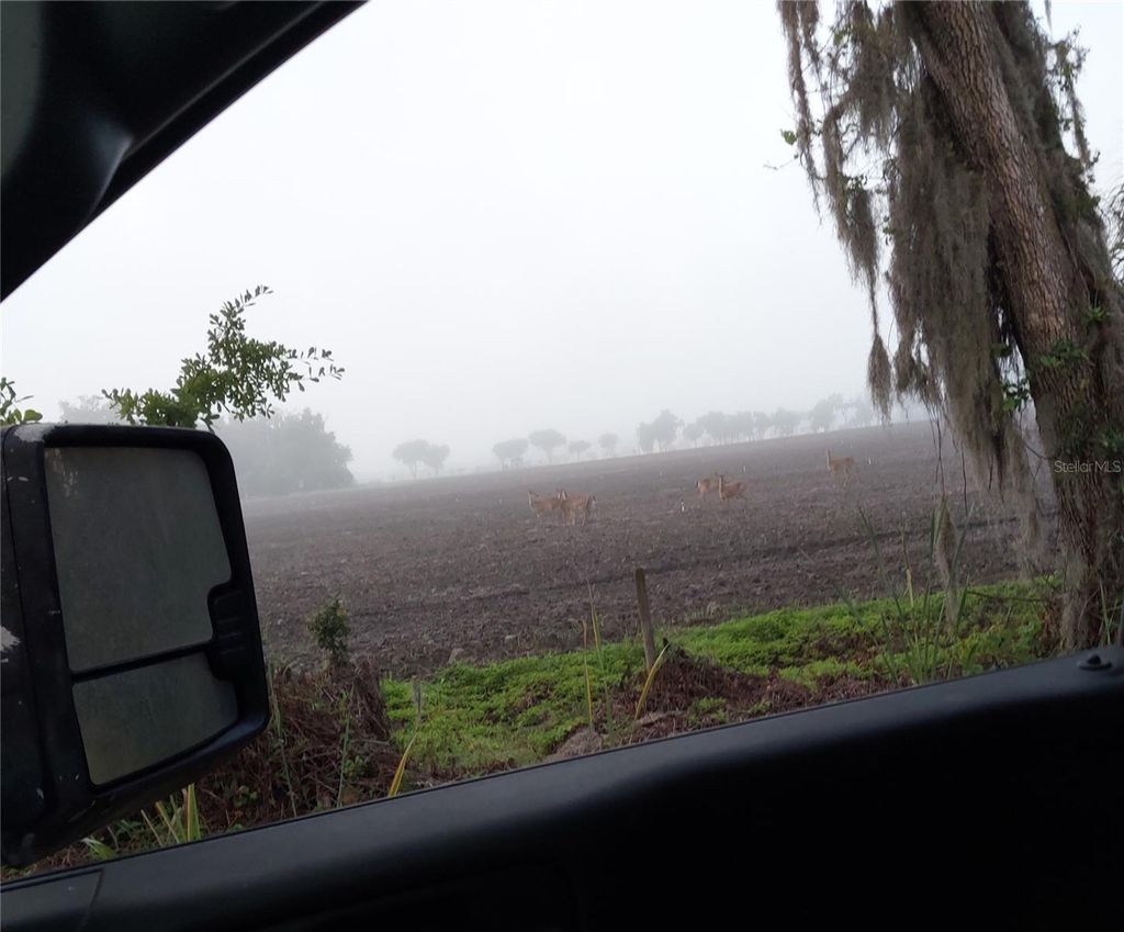 Photo of 1823 Welcome Road, Lithia, FL 33547 (MLS # TB8471346)