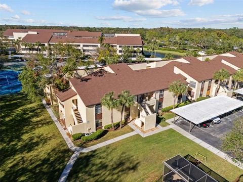 A home in TAMPA