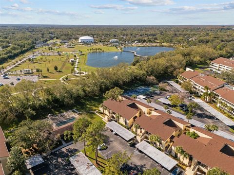 A home in TAMPA