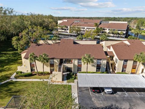 A home in TAMPA