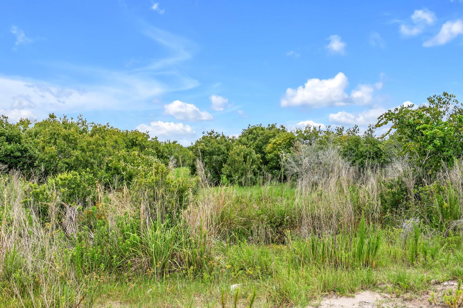 CONNERTON - Residential Lease