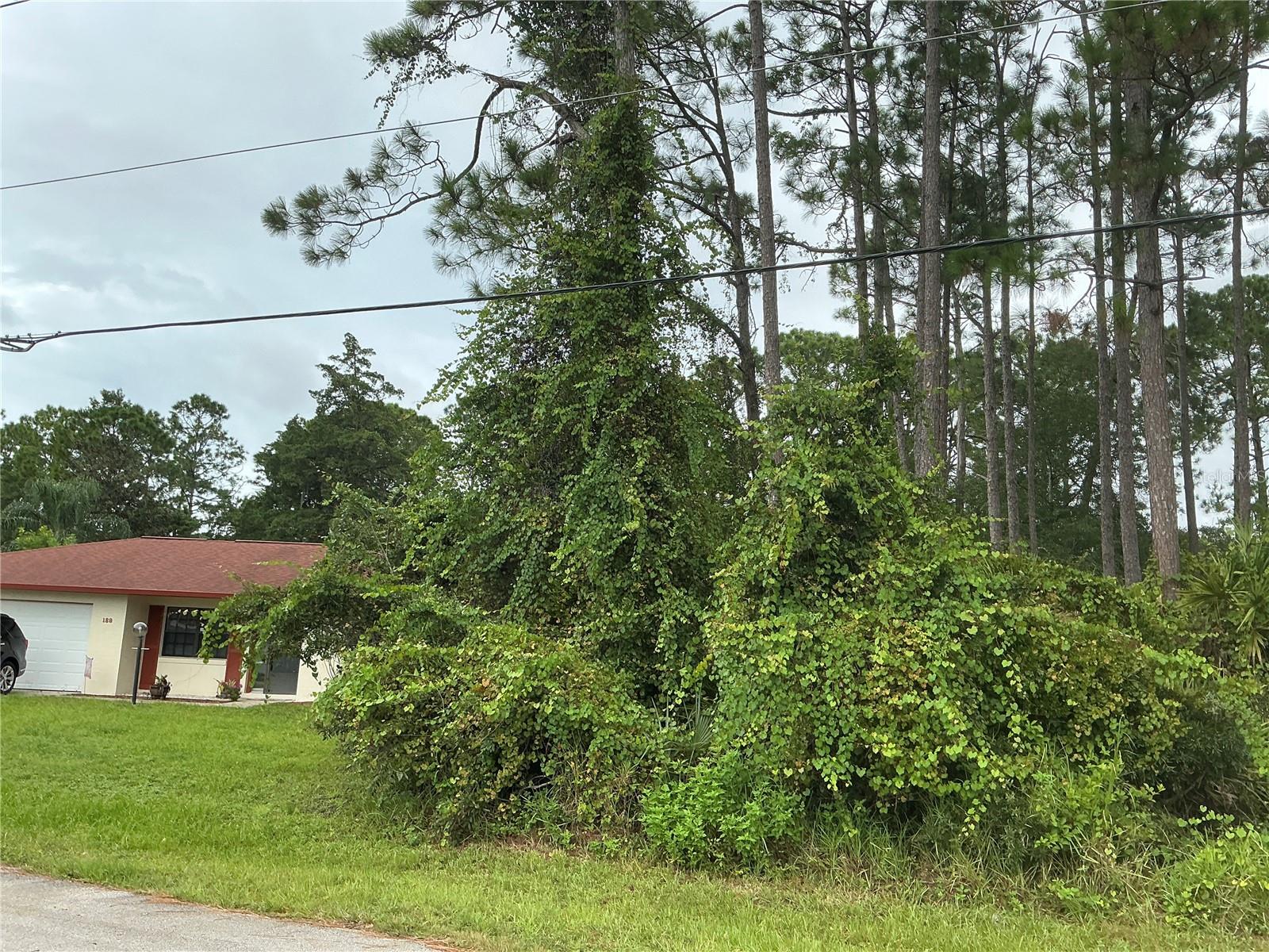 PALM COAST SEC 17 - Land