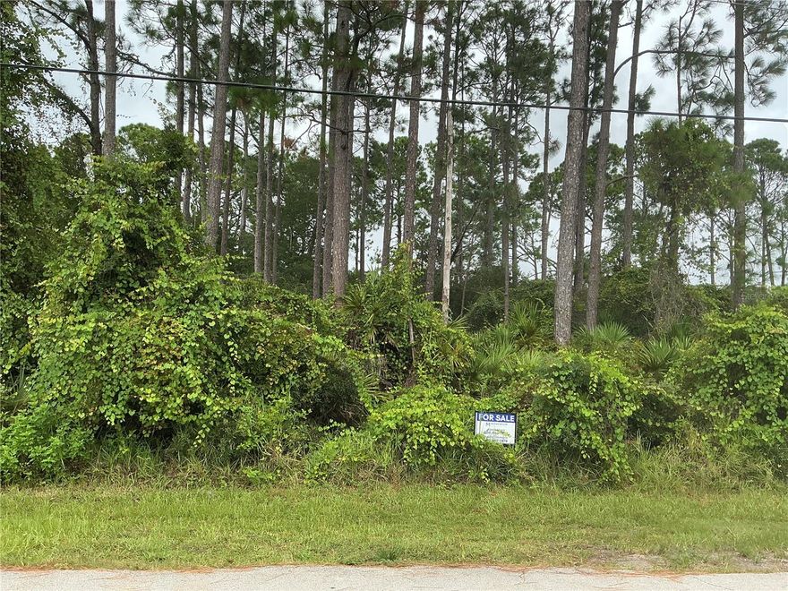 Build your dream home on this prime residential lot in the established Palm Coast. This 0.23-acre (10,019 sq ft) parcel offers an ideal size (approximately 80’ x 125’) for new construction with excellent development potential. Conveniently located just minutes from I-95 (Palm Coast Parkway exit), the property provides easy commuting access to Jacksonville to the north and Orlando to the south, perfect for everyday travel, beach trips, or regional connections. This lot sits outside the flood zone with no wetlands or environmental issues, making it a straightforward and build-friendly site. Public water and sewer services are available at the street, along with electricity, enhancing convenience and reducing development costs. Palm Coast’s thriving location offers proximity to beautiful Flagler beaches, quality golf courses, scenic parks, and a growing residential market — all without HOA or CDD fees.