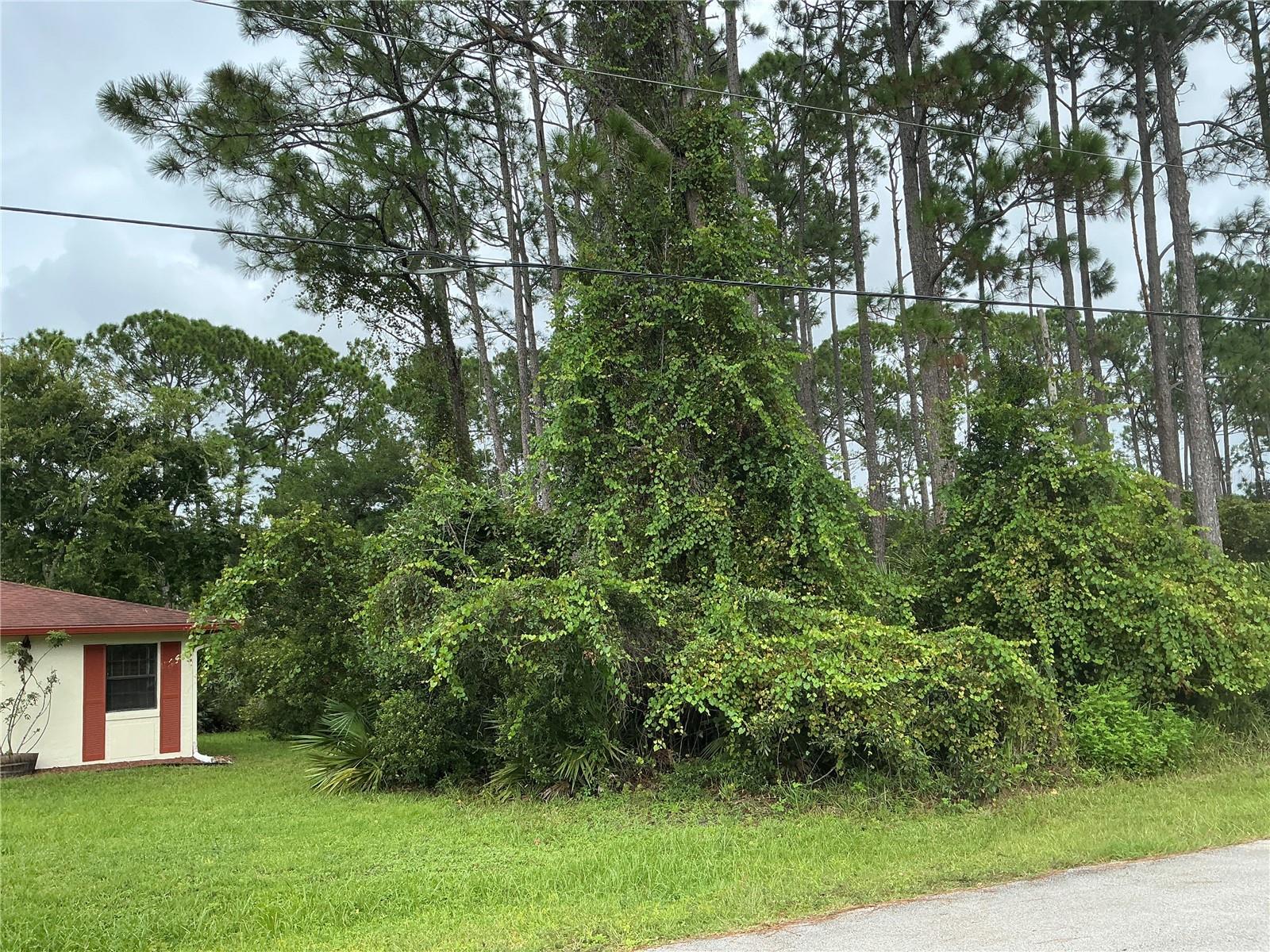 PALM COAST SEC 17 - Land