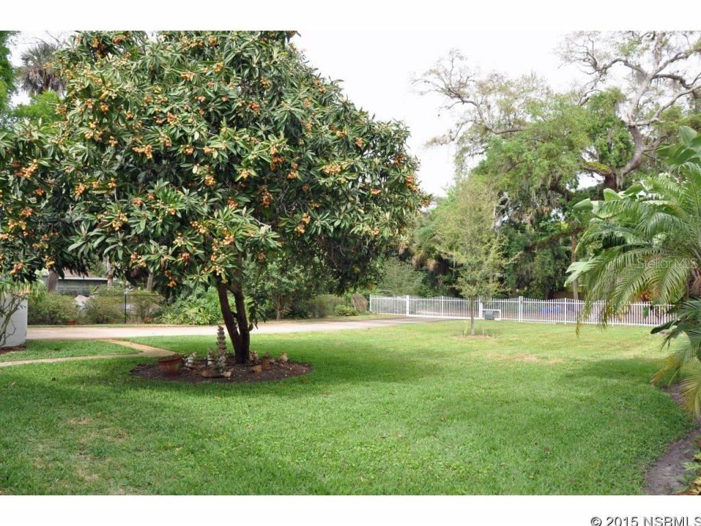 Pickett Grant New Smyrna - Residential