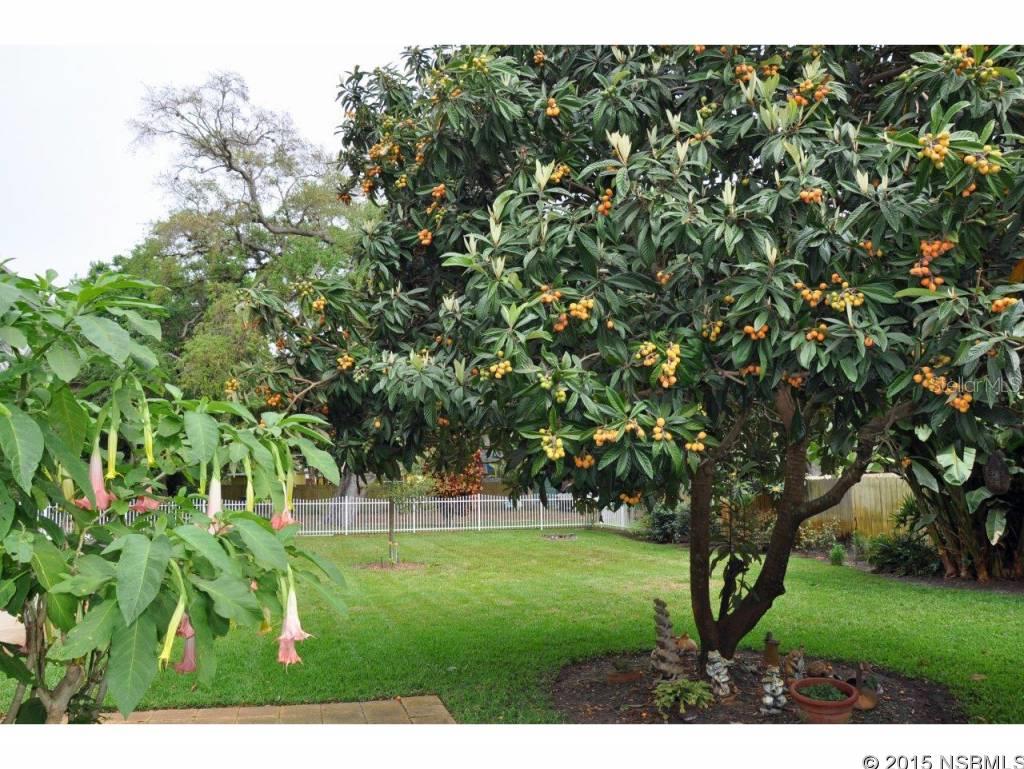 Pickett Grant New Smyrna - Residential