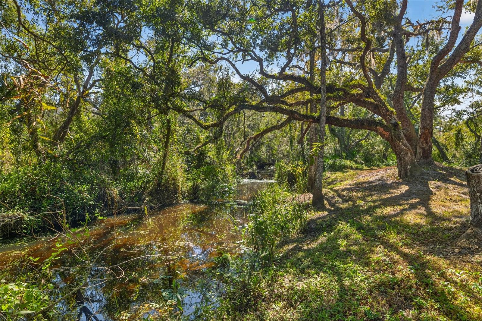 COUNTRY BROOKE ESTATES - Residential