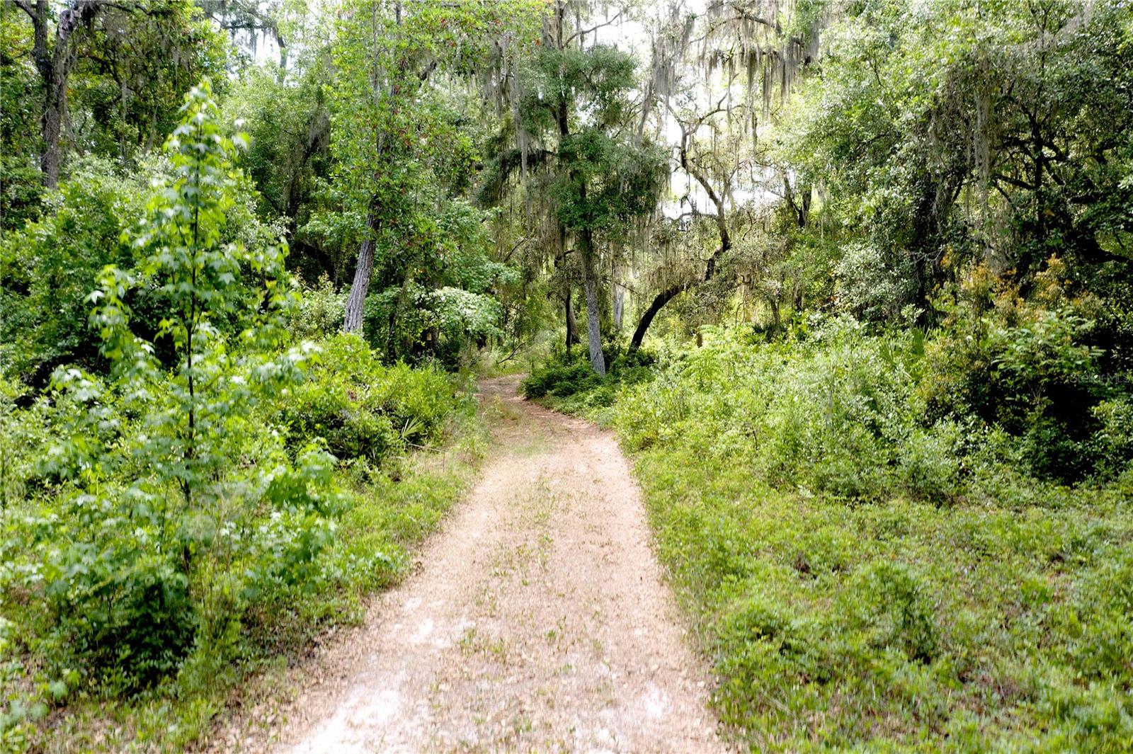 FARM TRACTS - Land
