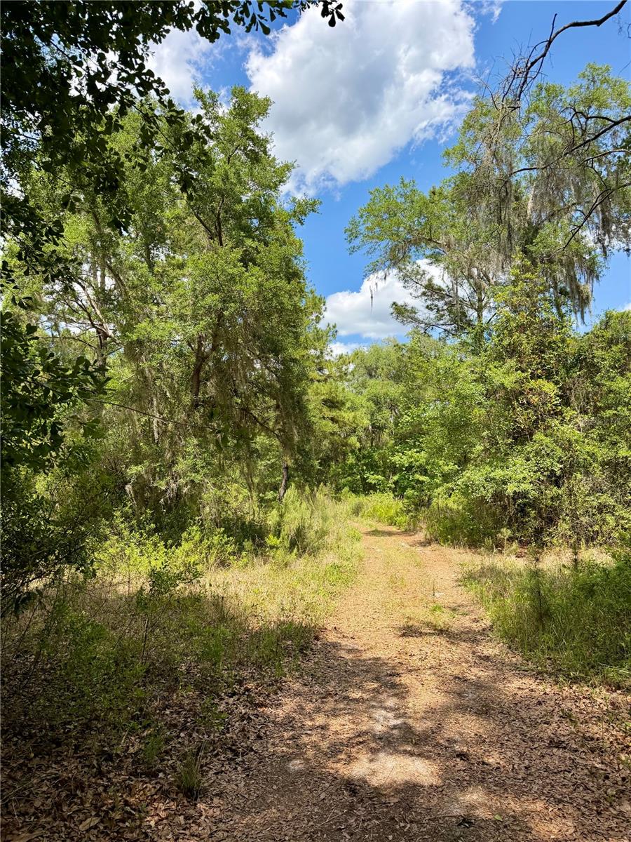 FARM TRACTS - Land