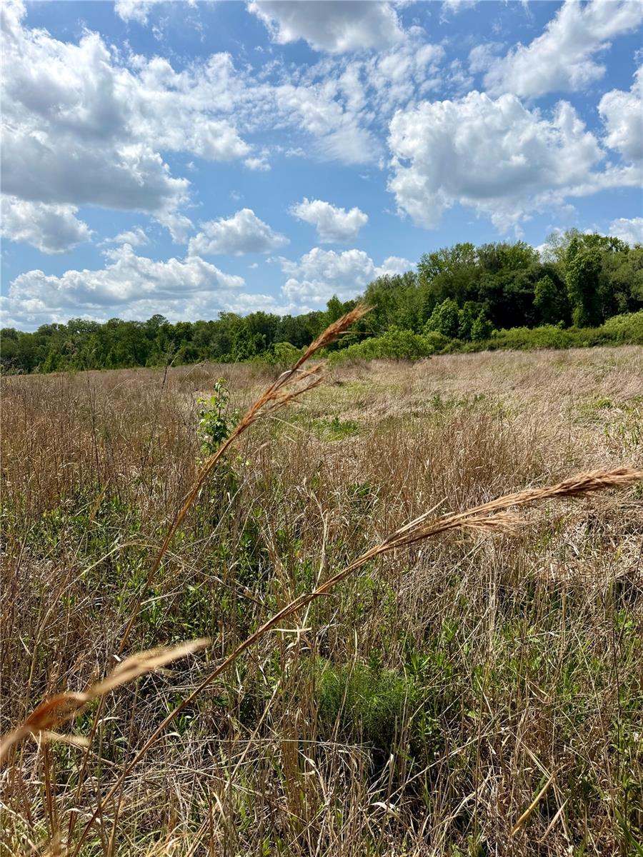 FARM TRACTS - Land