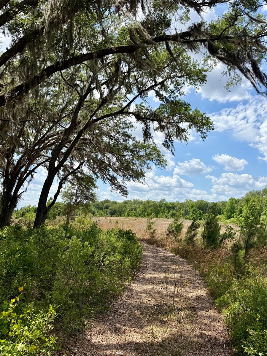 FARM TRACTS - Land