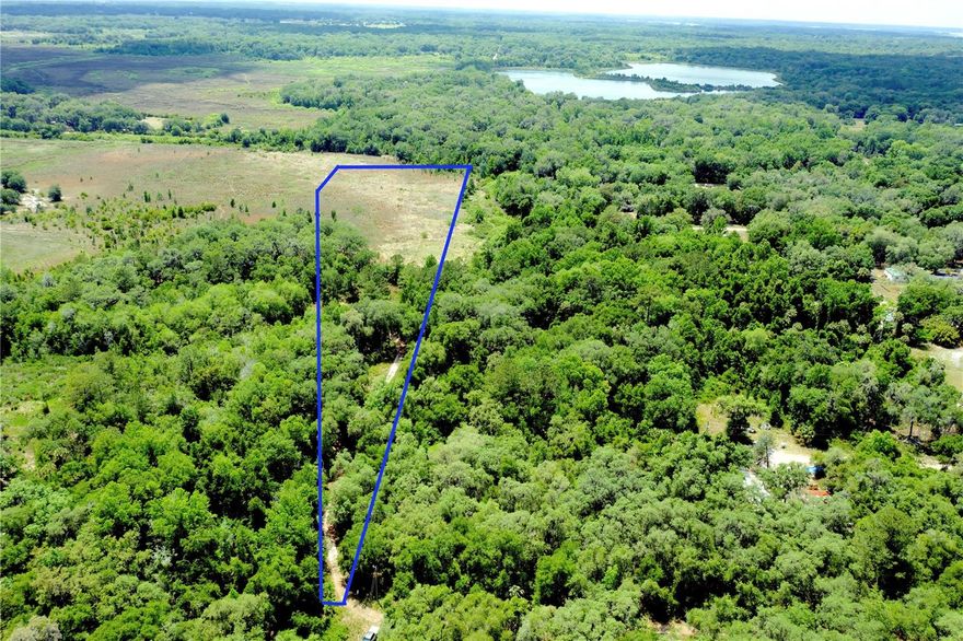 Secluded and private 8.89+/- acres. Couple acres are treed and remainder is pasture overlooking Black Sink Prairie. There is underground power nearby and this beautiful property is ready for new home. Citra, Florida is known as the home of the pineapple orange, (originally called the Hickory orange) a name coined in 1883 for an orange (fruit) with an aroma reminiscent of the pineapple. Citra has two buildings on the National Register of Historic Places: The Citra Methodist Episcopal Church and the Armstrong House. It is home to a University of Florida Institute of Food and Agricultural Sciences plant research facility. Some funs things to do include visiting Animal Rescue Sanctuary or stop by The Orange Shop for fresh squeezed Florida Orange Juice or some cool merchandise. Skunkie Acres offers horse back riding and every local loves visiting Crones Cradle Conserve with great outdoor gardens and country store full of local homemade foods and stuff. Located just short drive to Ocala or Gainesville, don't miss this great property surrounded by horse country.